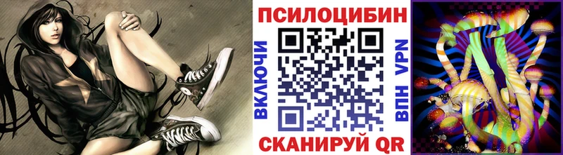 это как зайти  магазин  наркотиков  Красавино  Галлюциногенные грибы Cubensis 